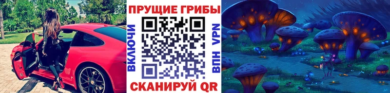 kraken онион  Кочубеевское  Галлюциногенные грибы MAGIC MUSHROOMS 